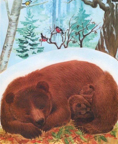 Медведь с медвежатами в берлоге