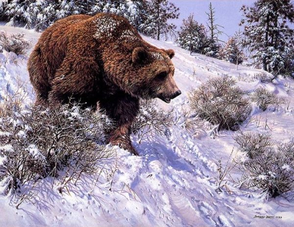 Джон Сирей-Лестер художник анималист