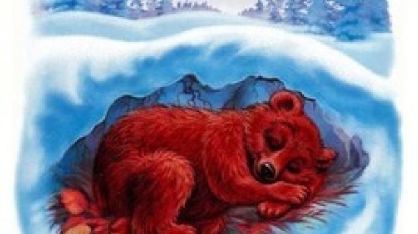 Мишка в берлоге