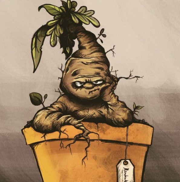 Мандрагора Гарри Поттер арт