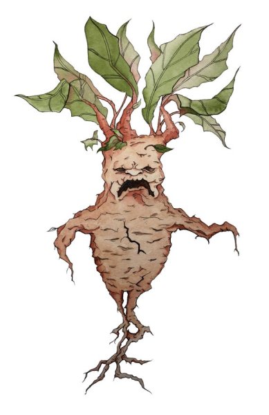 Мандрагора Гарри Поттер арт