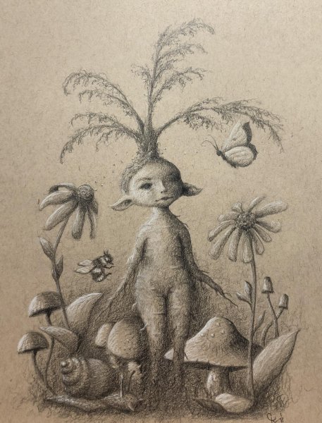 Мандрагора Гарри Поттер рисунок