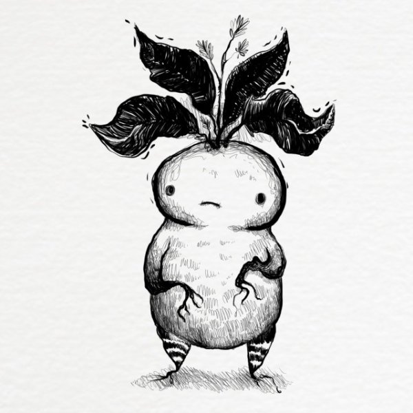 Корень Мандрагоры арт