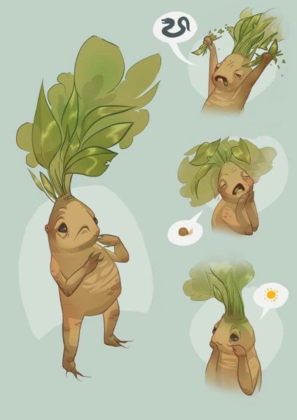 Мандрагора Гарри Поттер