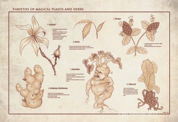 Гербология Гарри Поттер