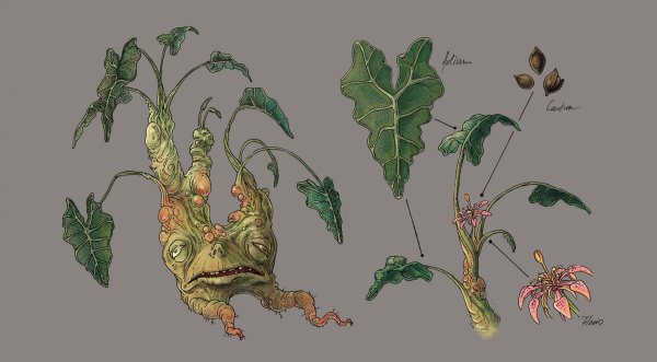 Мандрагора стеблевая