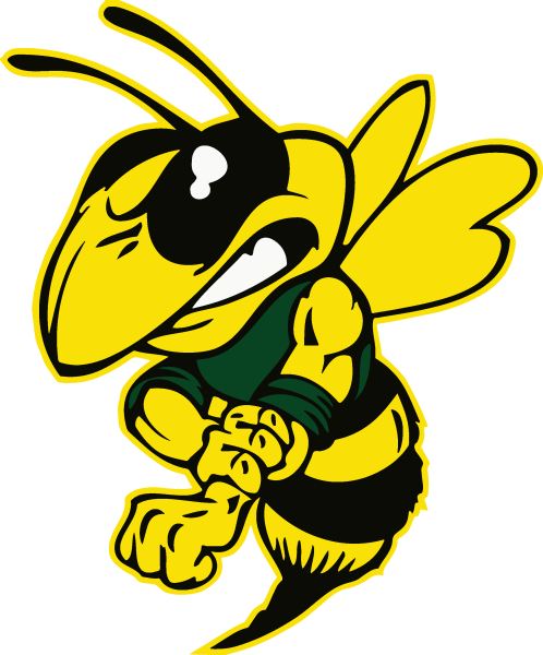 Крутая пчела