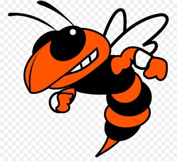 Жало у пчелки