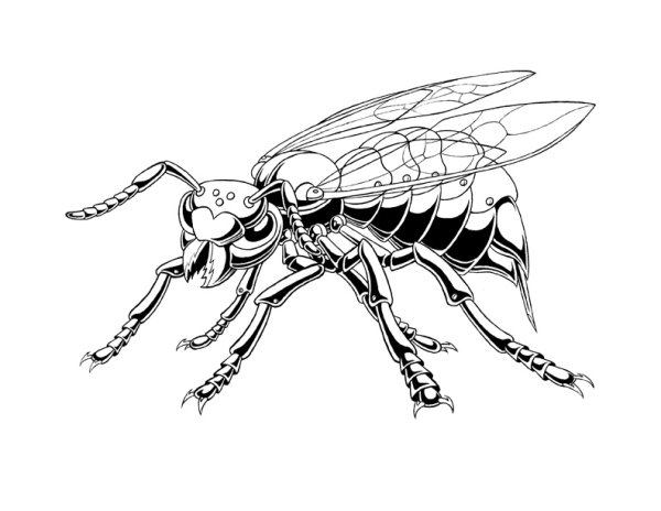 Шершень карандашом