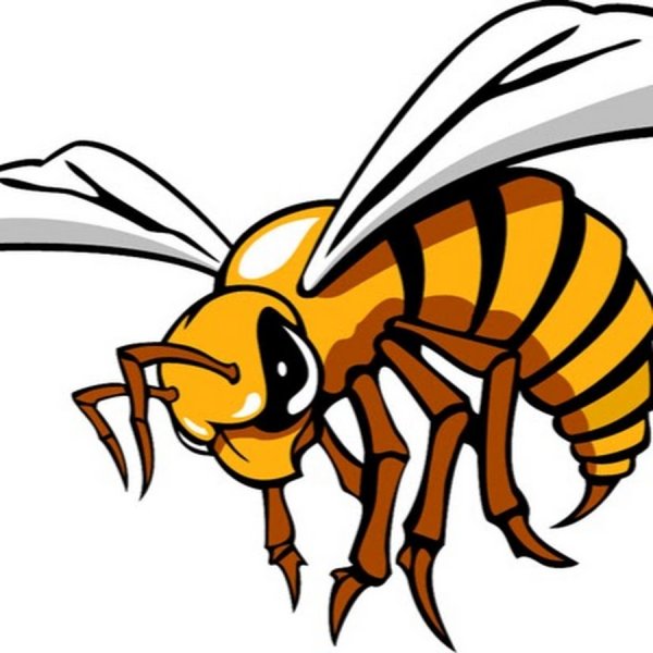 Шершень из мультика