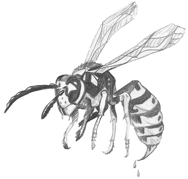 Оса карандашом