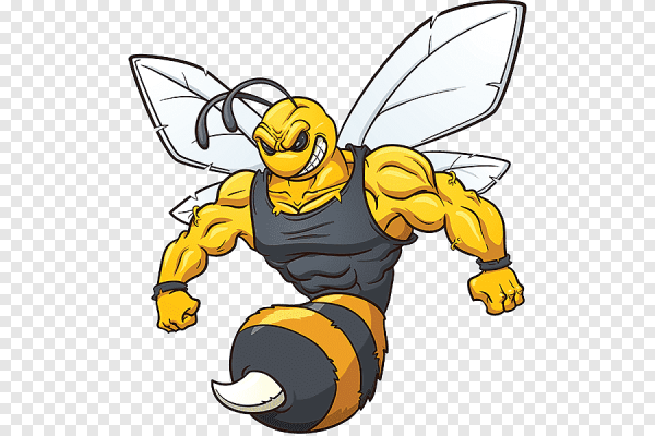 Хорнет пчела