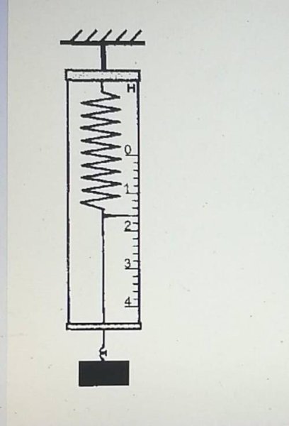 Проградуированный динамометр рисунок