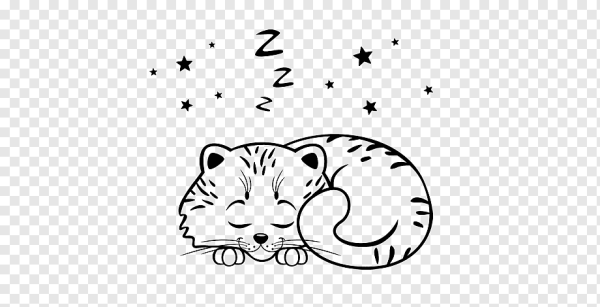 Спящий кот раскраска