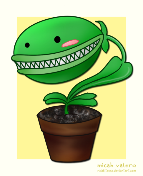 Венерина мухоловка монстр