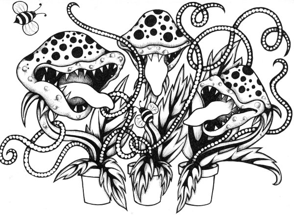 Венерина мухоловка цветок раскраска