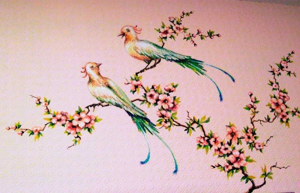 Райские птицы акварель