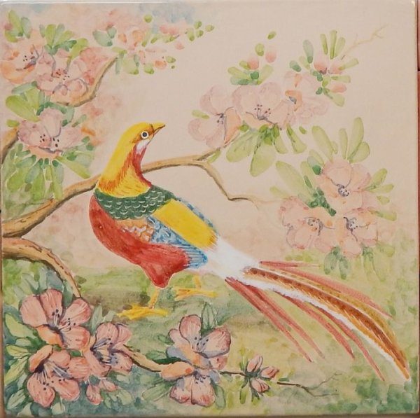 Изображение райских птичек