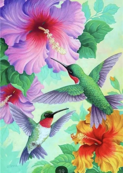 Райские птицы акварель