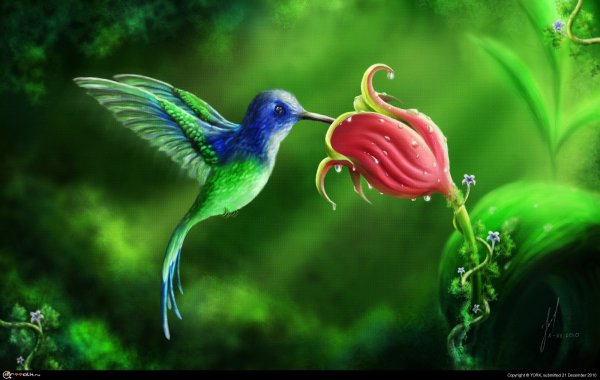 Батик птица Павлин