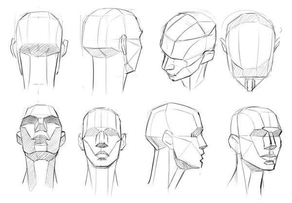 Голова снизу референс