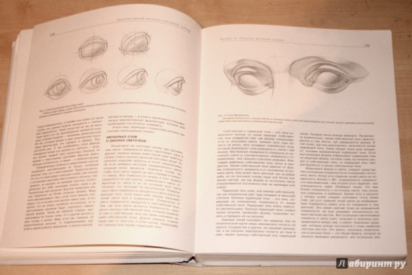 Осмоловская рисунок гипсовой головы