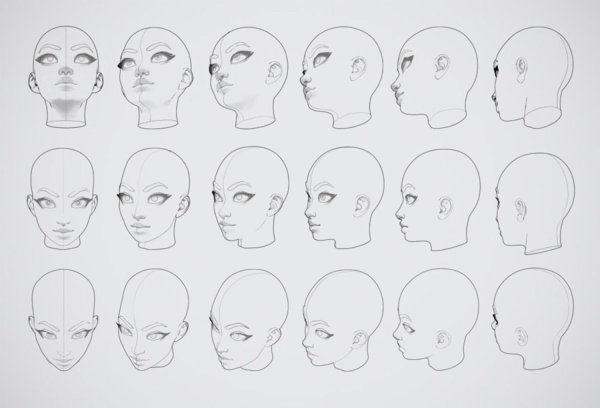 Голова человека ракурсы референс