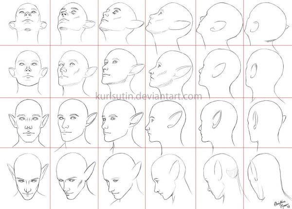 Лицо с разных ракурсов