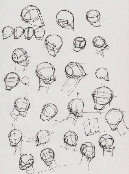 Голова в разных ракурсах