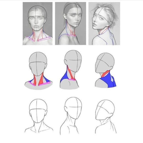 Голова человека в разных ракурсах