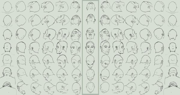 Ракурсы головы