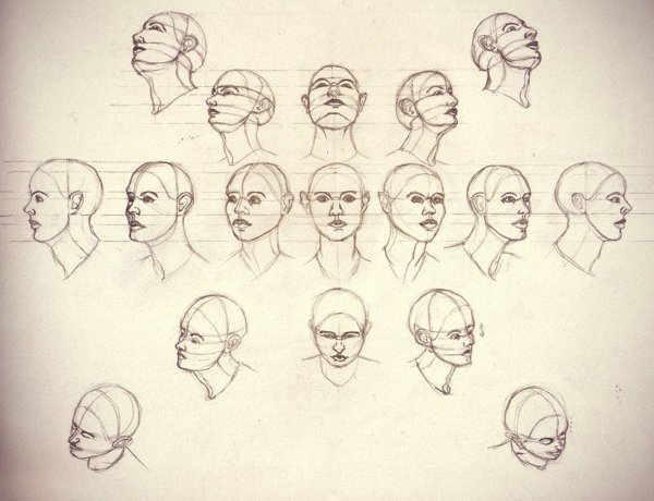Перспектива головы человека референс