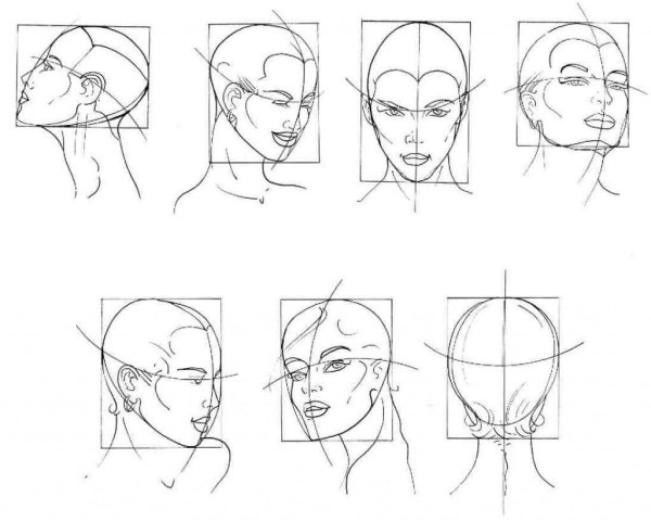 Рисование головы в разных ракурсах