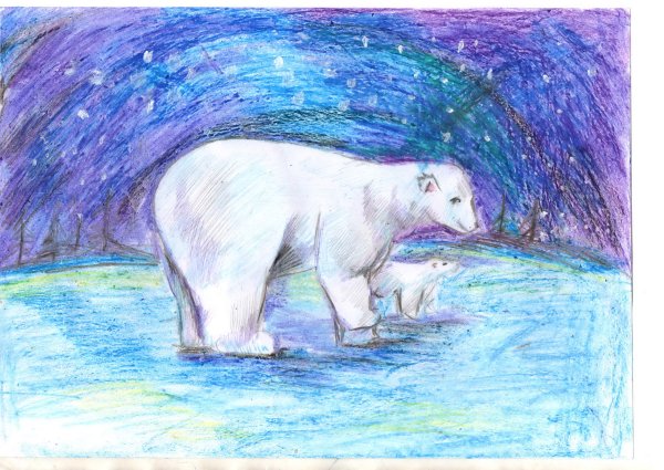 Картинки Арктики для срисовки