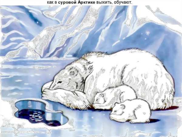 Арктические пустыни рисунок