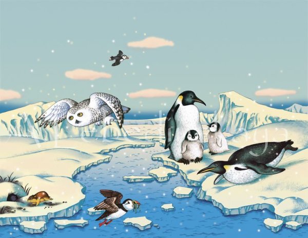 Животные Арктики рисунки