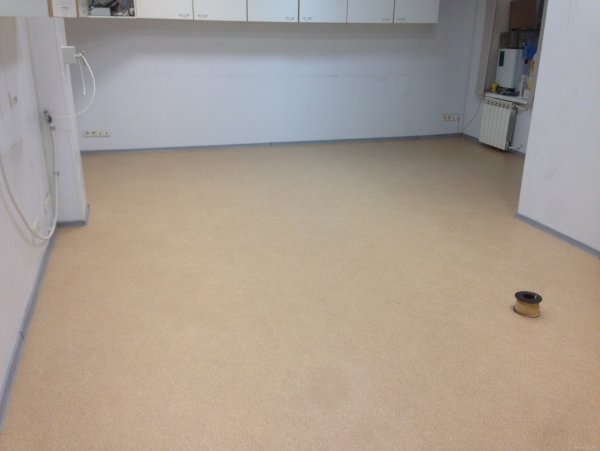 Линолеум акцент про 100011