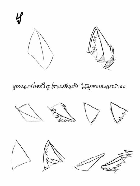 Лисьи уши референс