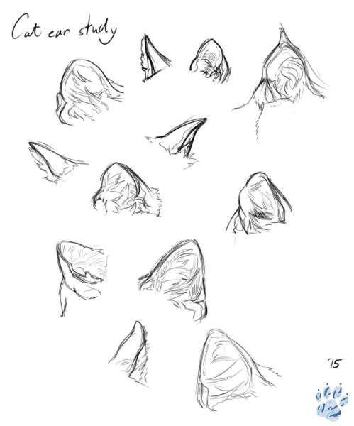 Кошачьи уши референс