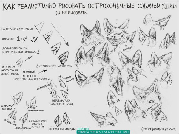 Лисьи уши референс