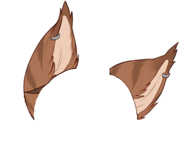 Ушки котика