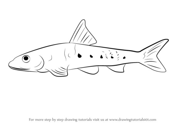 Лунтик пескарь Иваныч