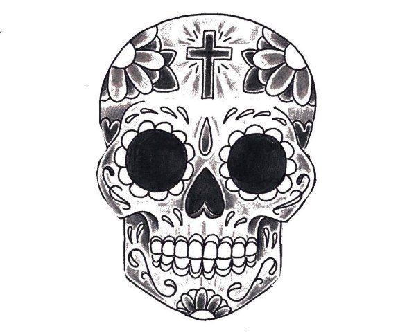 Картинки для срисовки черепа