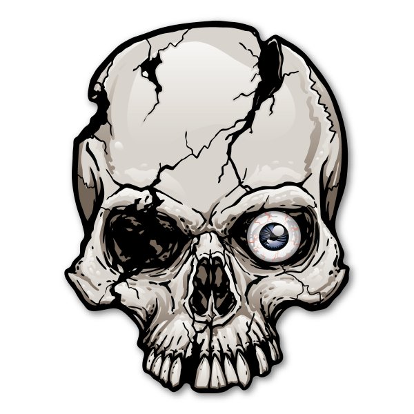 Очертания черепа