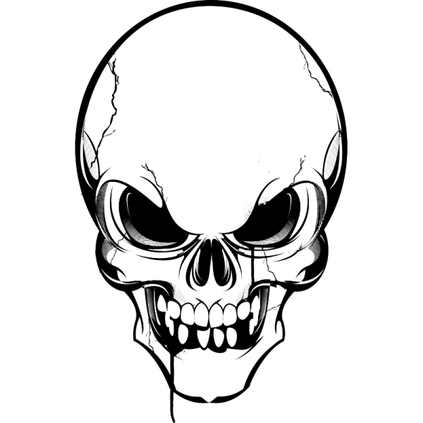 Контур черепа сбоку