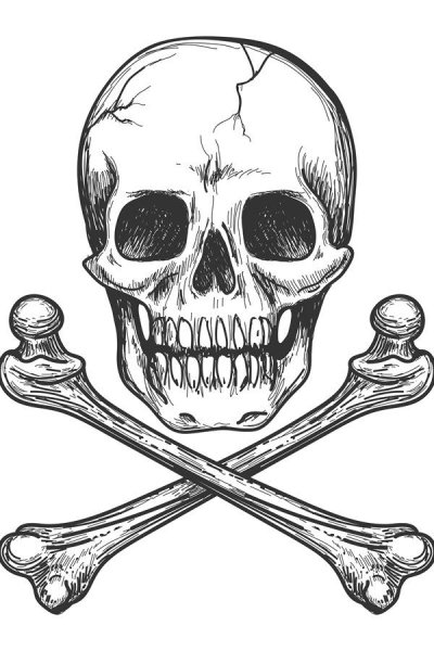 Белый череп рисованный