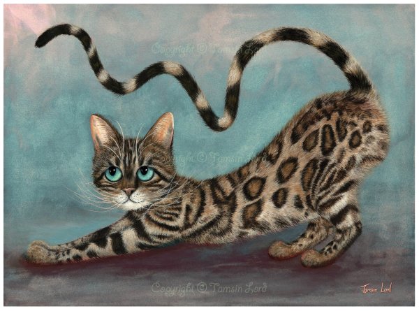 Бенгальская кошка живопись