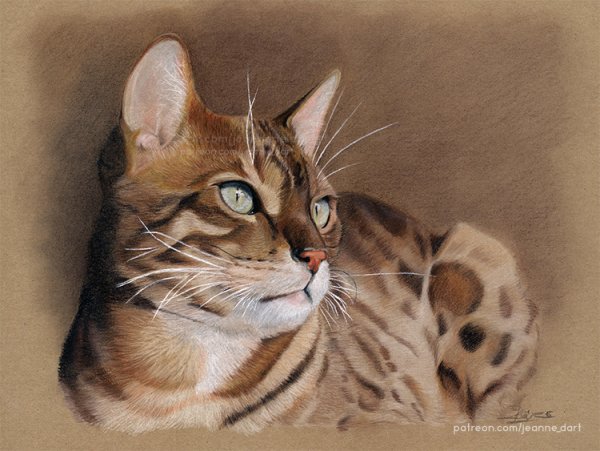 Бенгальский кот арт