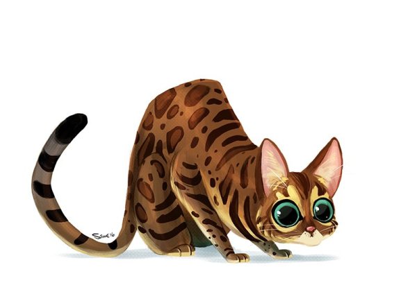Мультяшные бенгальские кошки