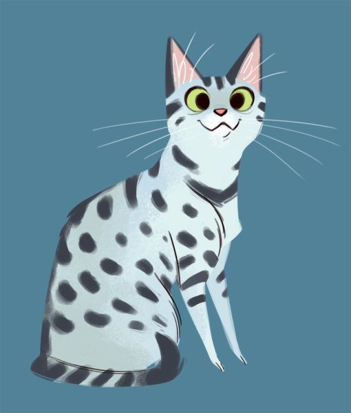 Египетская МАУ